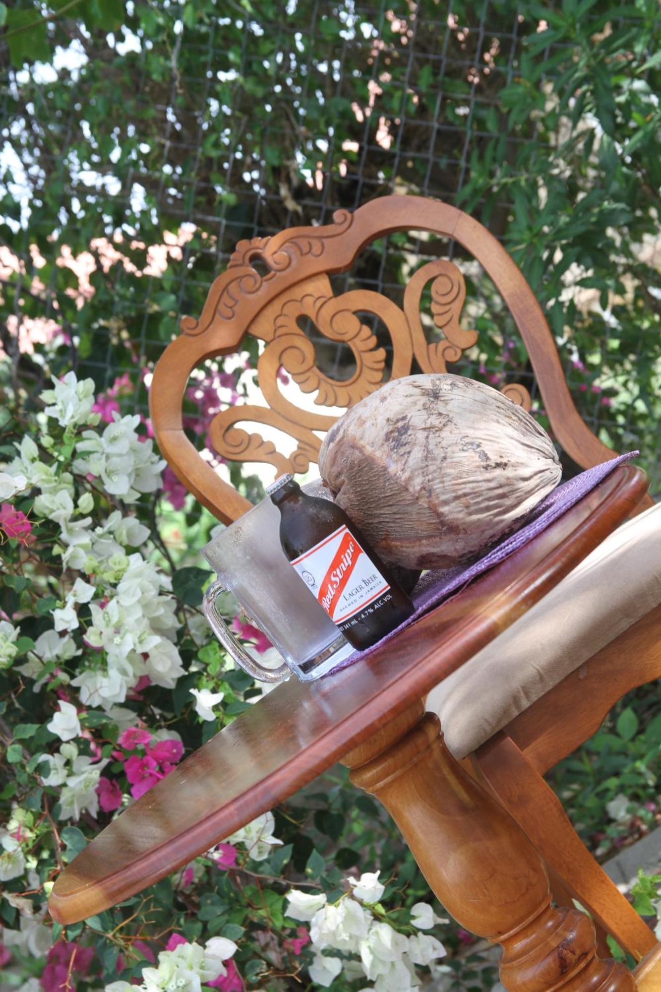 Sweetsop Jamaica Villa And Tours Montego Bay Eksteriør billede